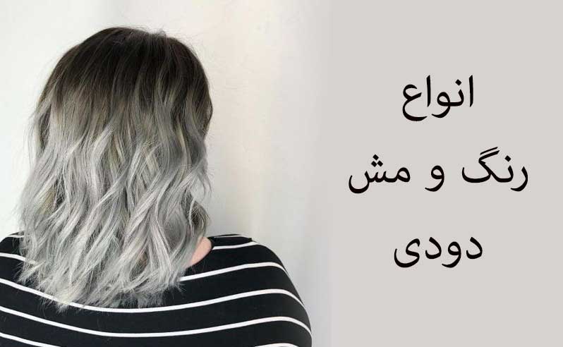 متخصص رنگ و مش دودی